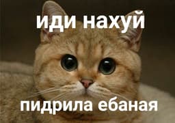 Рей Куросава